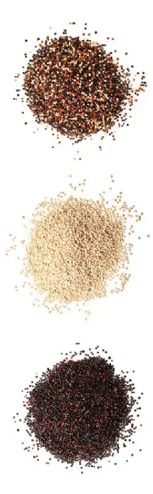 Variedades Quinoa